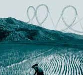 Regional Cooperation Crucial for Food Security