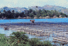 Seminar 3: Management of Marine Resources and Oceans as  Means of Communication, Auckland, New Zealand | December 4-5, 2012