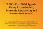 Publications-2017-PECCSGConf-APECs-Post-2020-Agenda